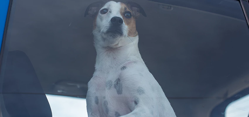 Car Lockout Solutions in Pleasure Point, California